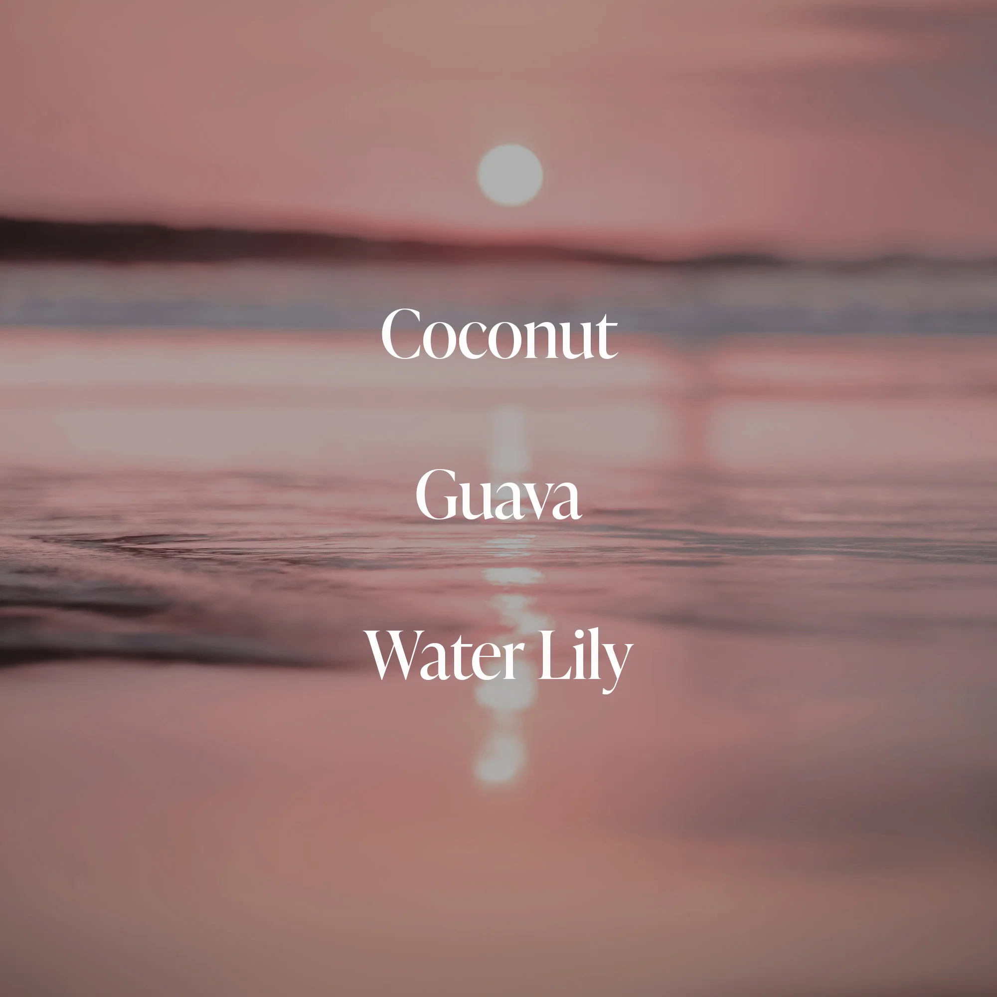 Coral Coast - Essentials Set - Image 2