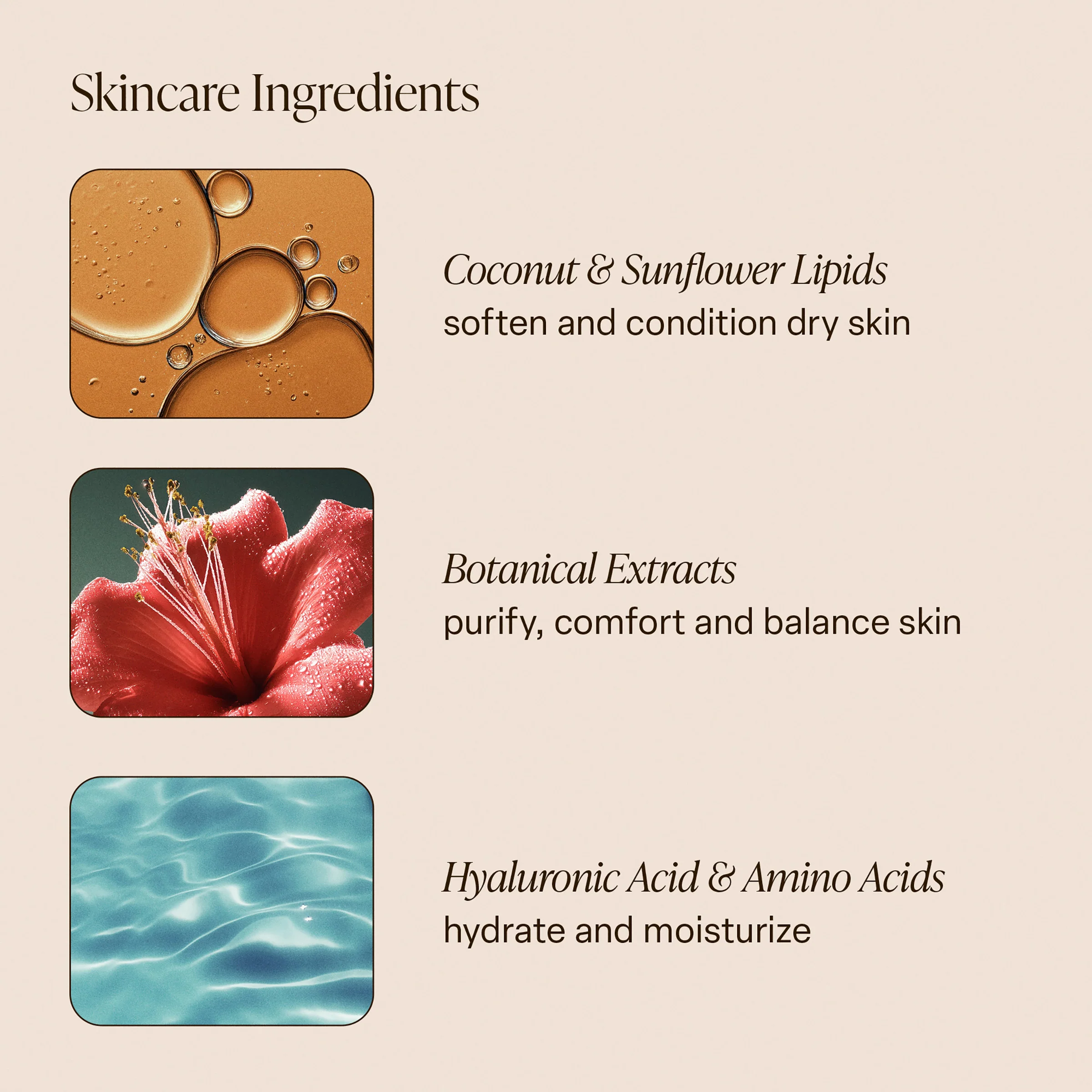 Coral Coast - Body Wash - Image 6