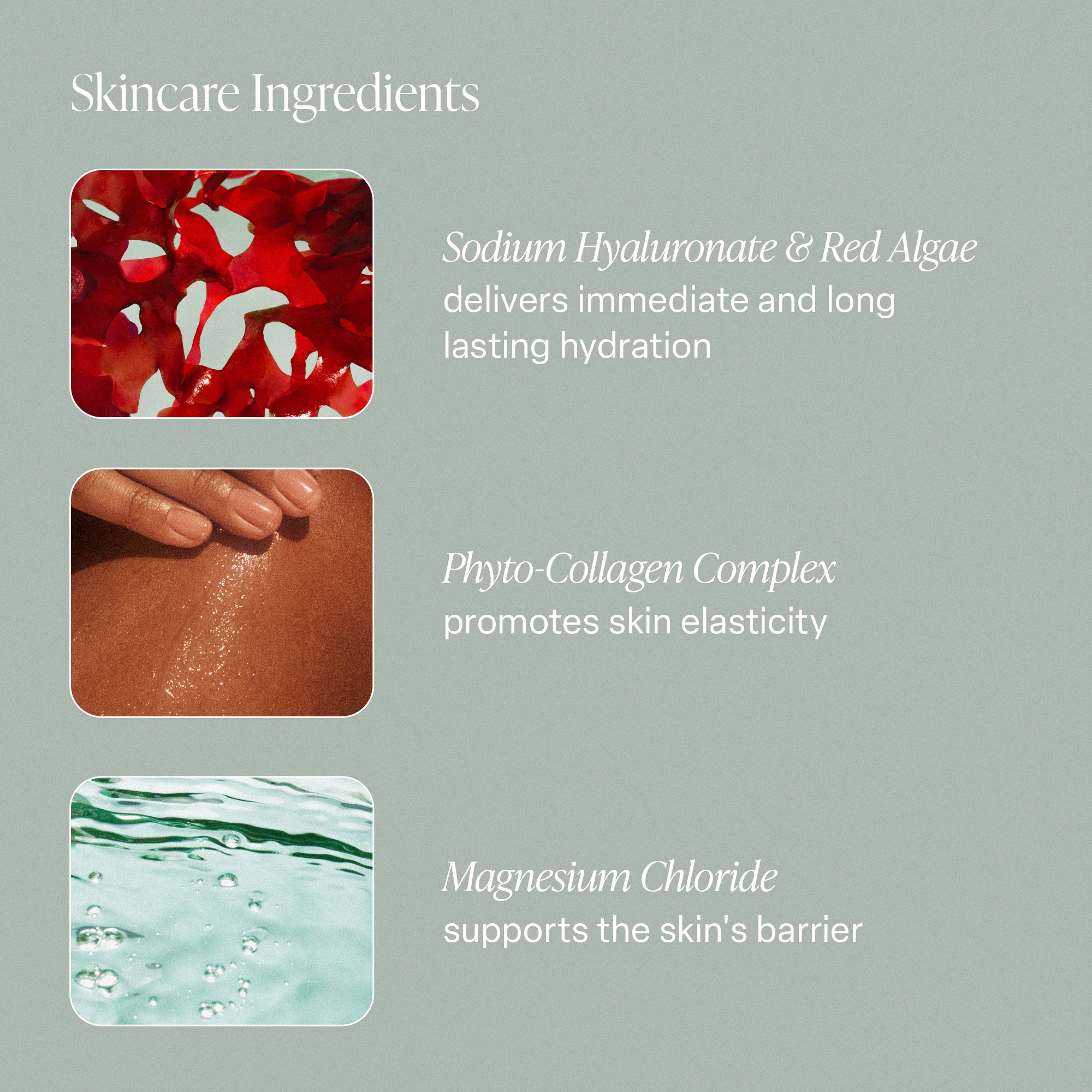 Santal Bloom - Cleanse & Hydrate Bundle - Image 2