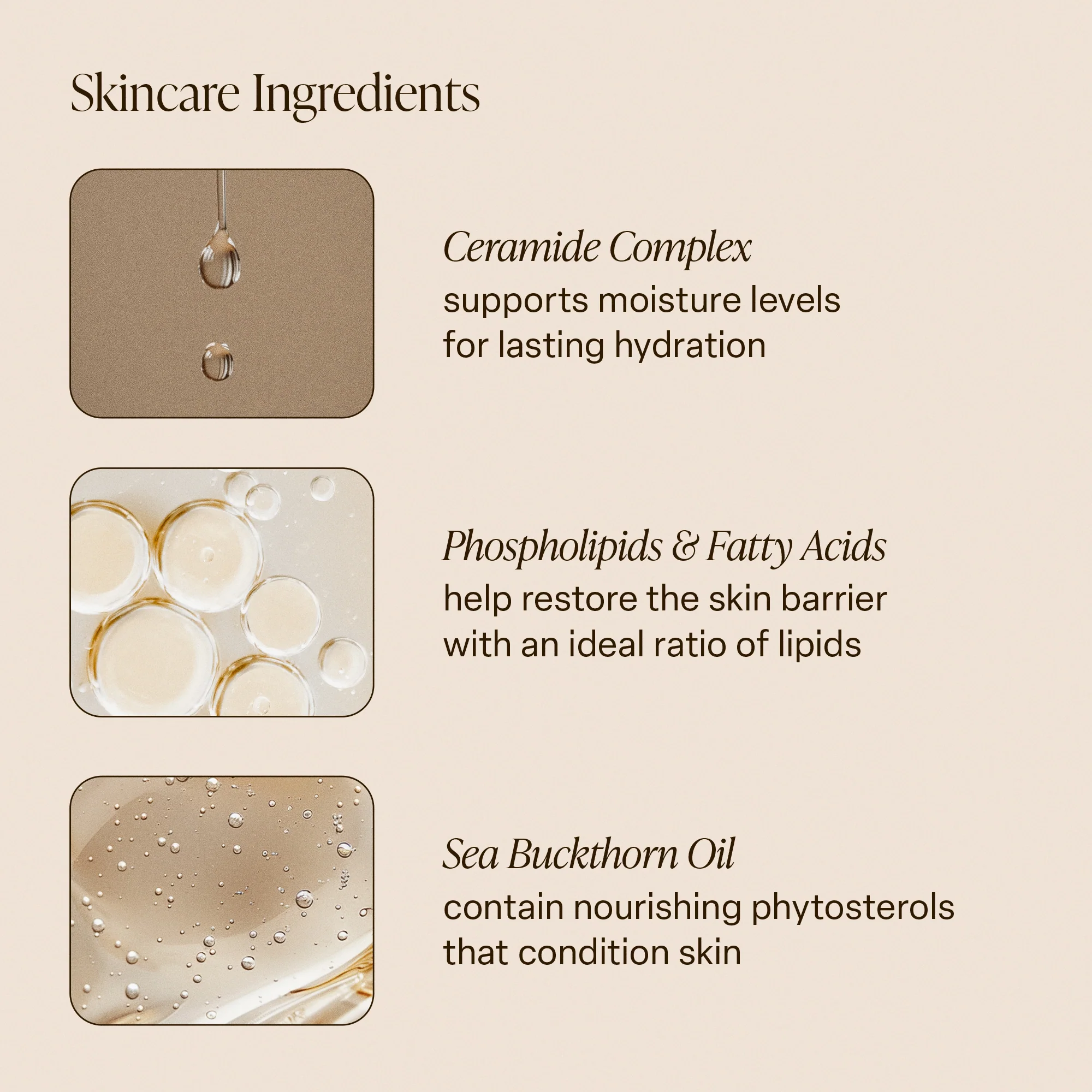 Driftwood - Body Butter - Image 5