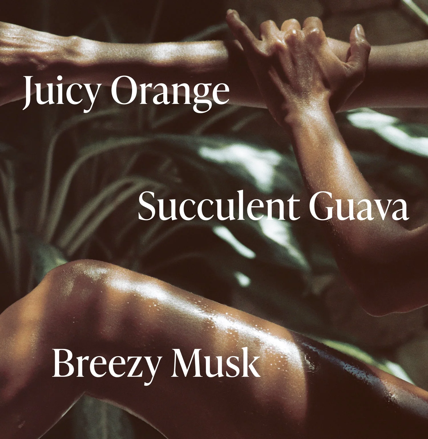 Exotic Pulp - Body Butter - Image 3