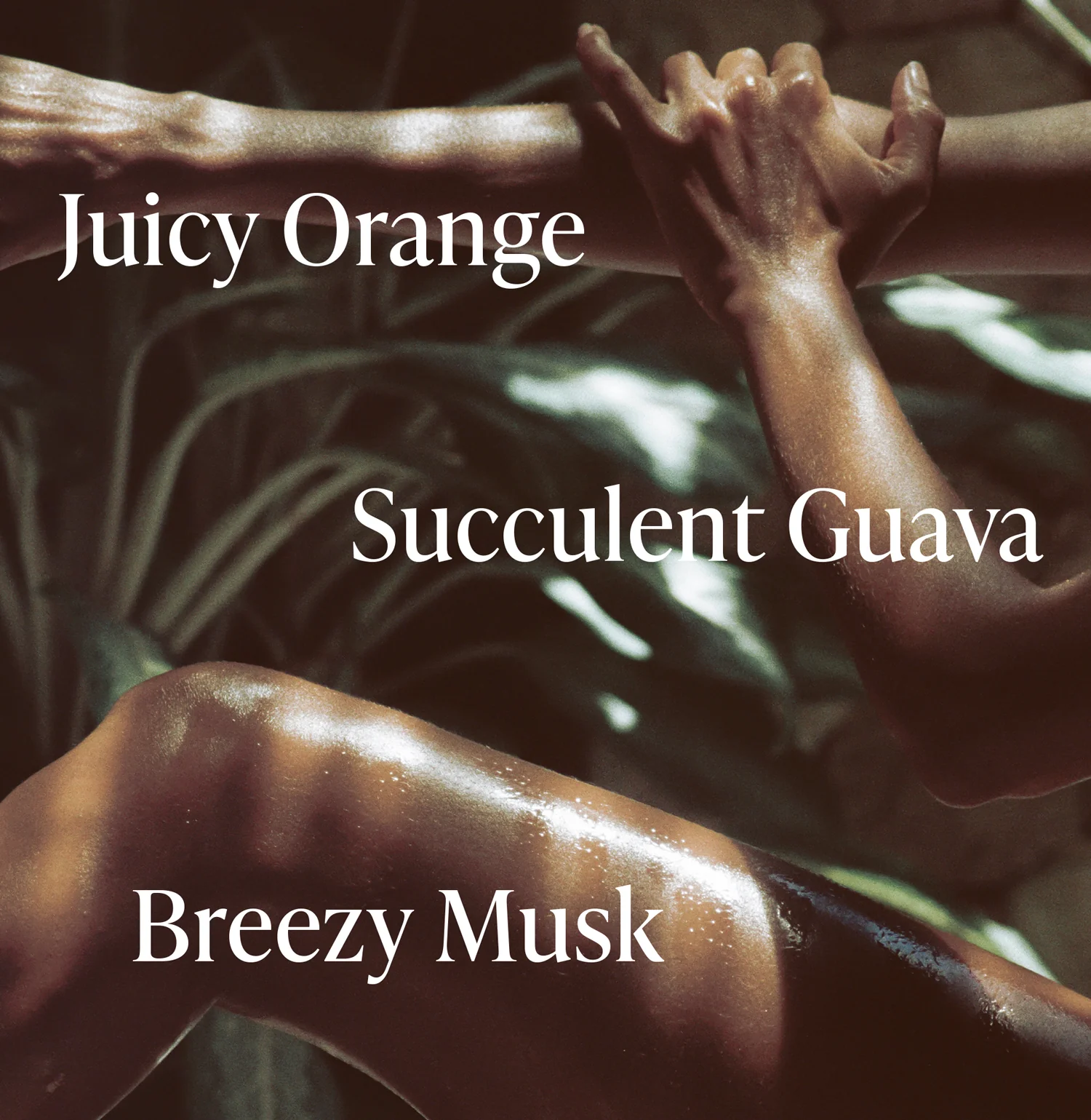 Exotic Pulp - Body Wash - Image 3
