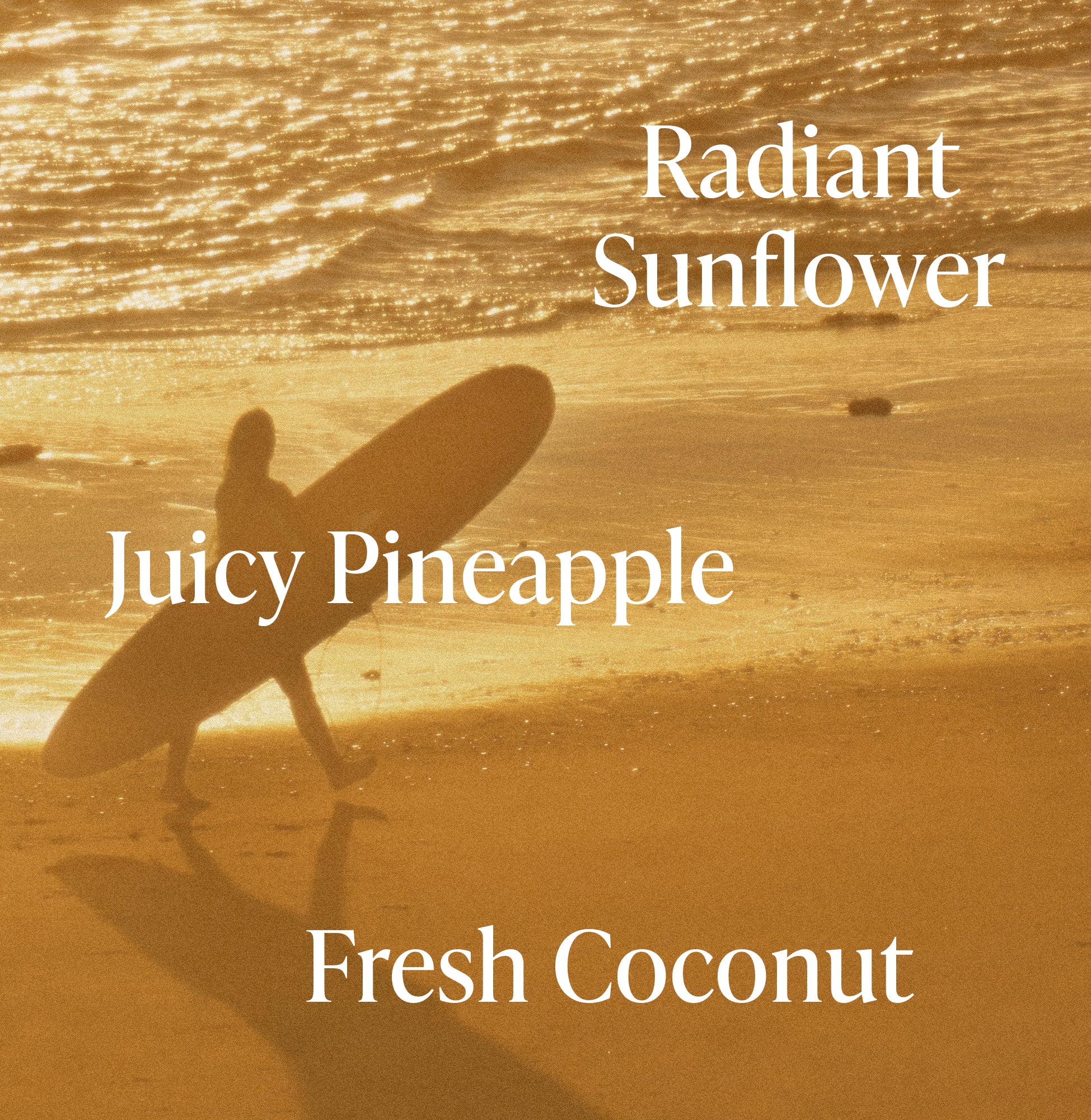 Golden Hour - Jumbo Body Oil - Image 3