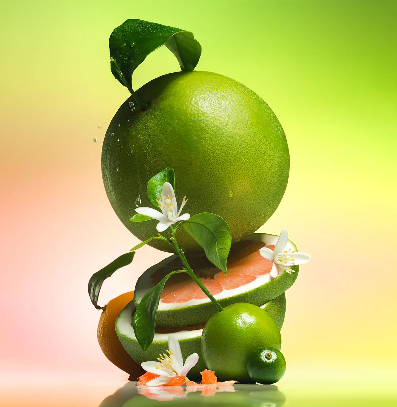 Green Grapefruit - Body Wash - Image 5