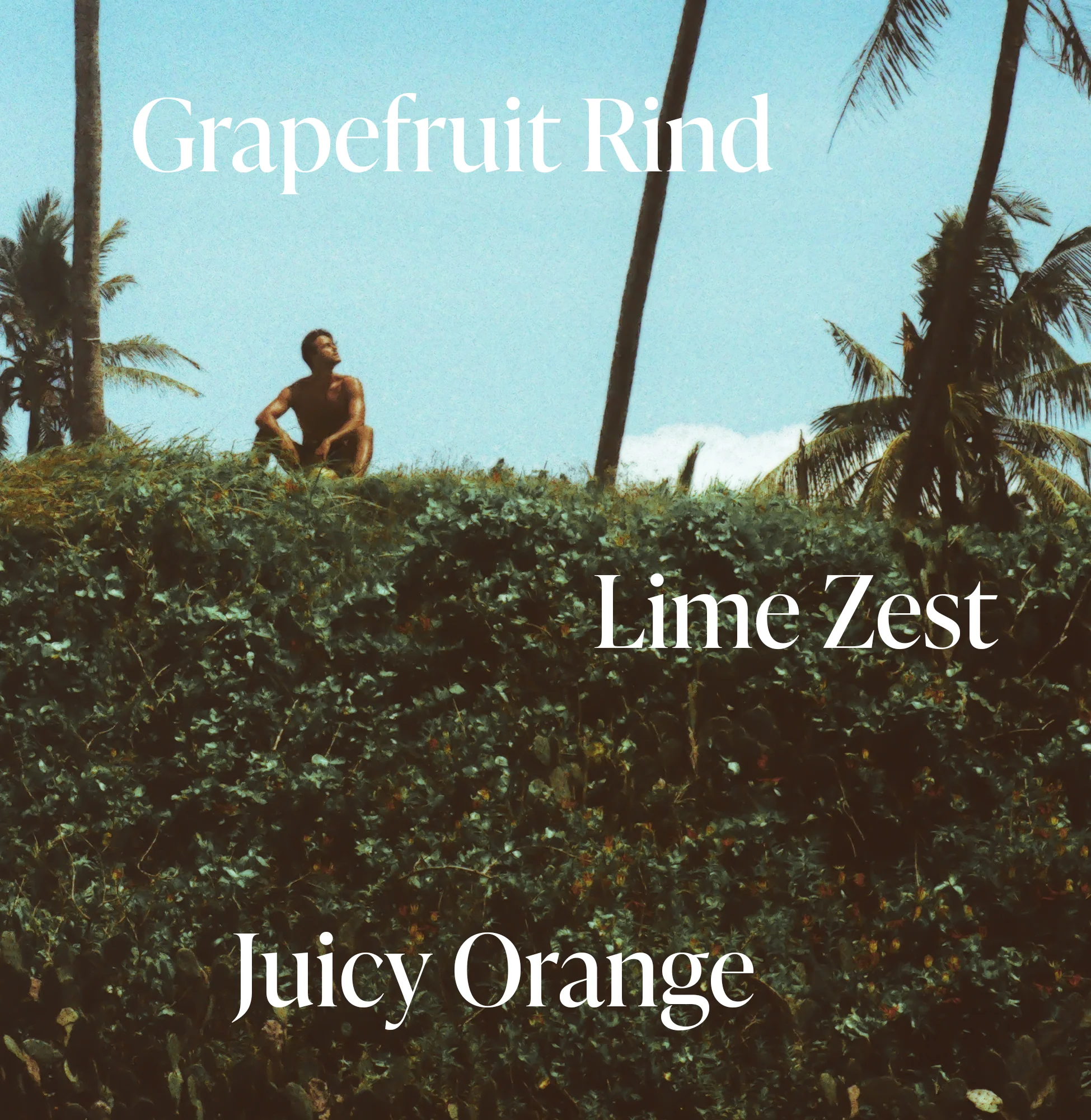 Green Grapefruit - Trio - Image 2