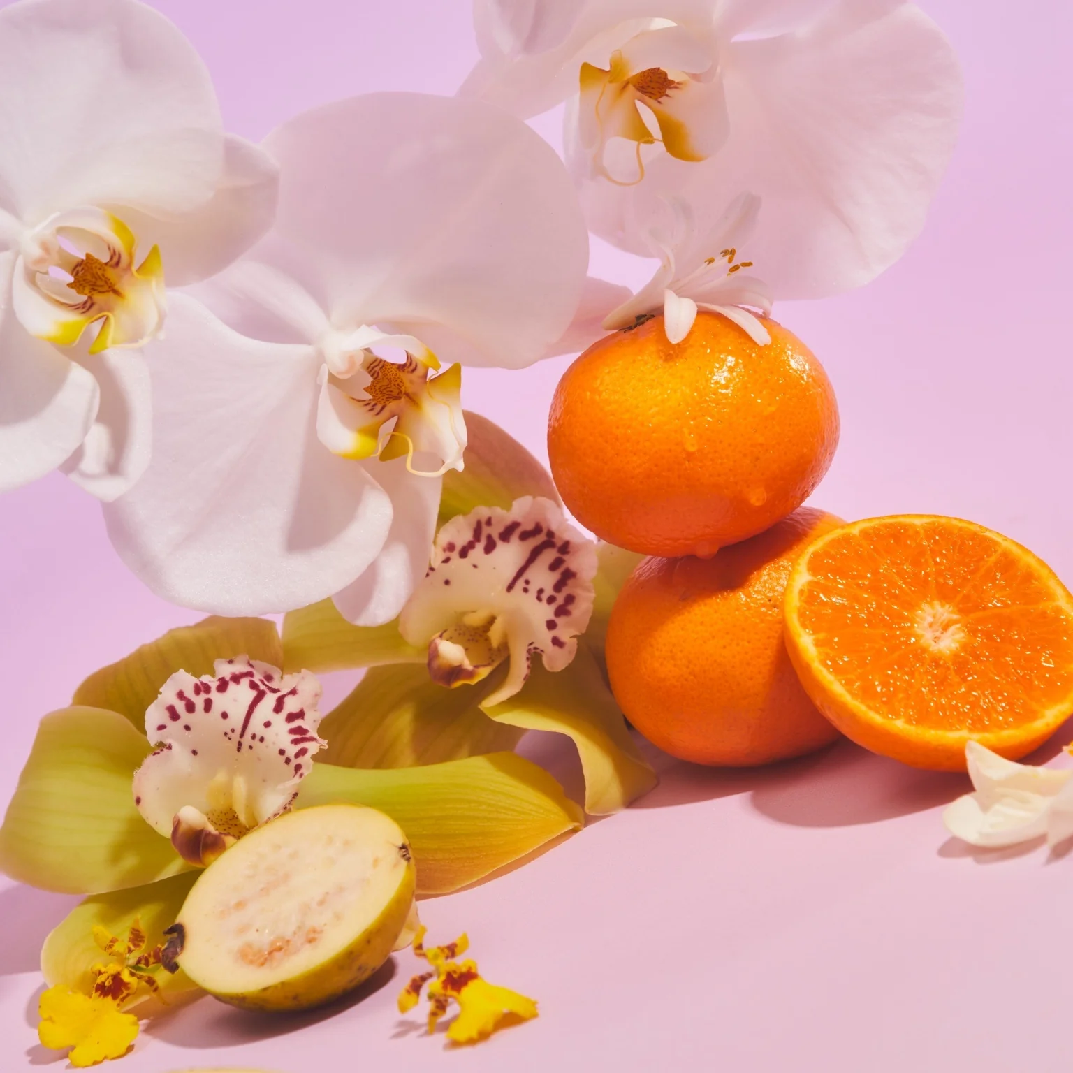 Island Orchid - Trio - Image 3