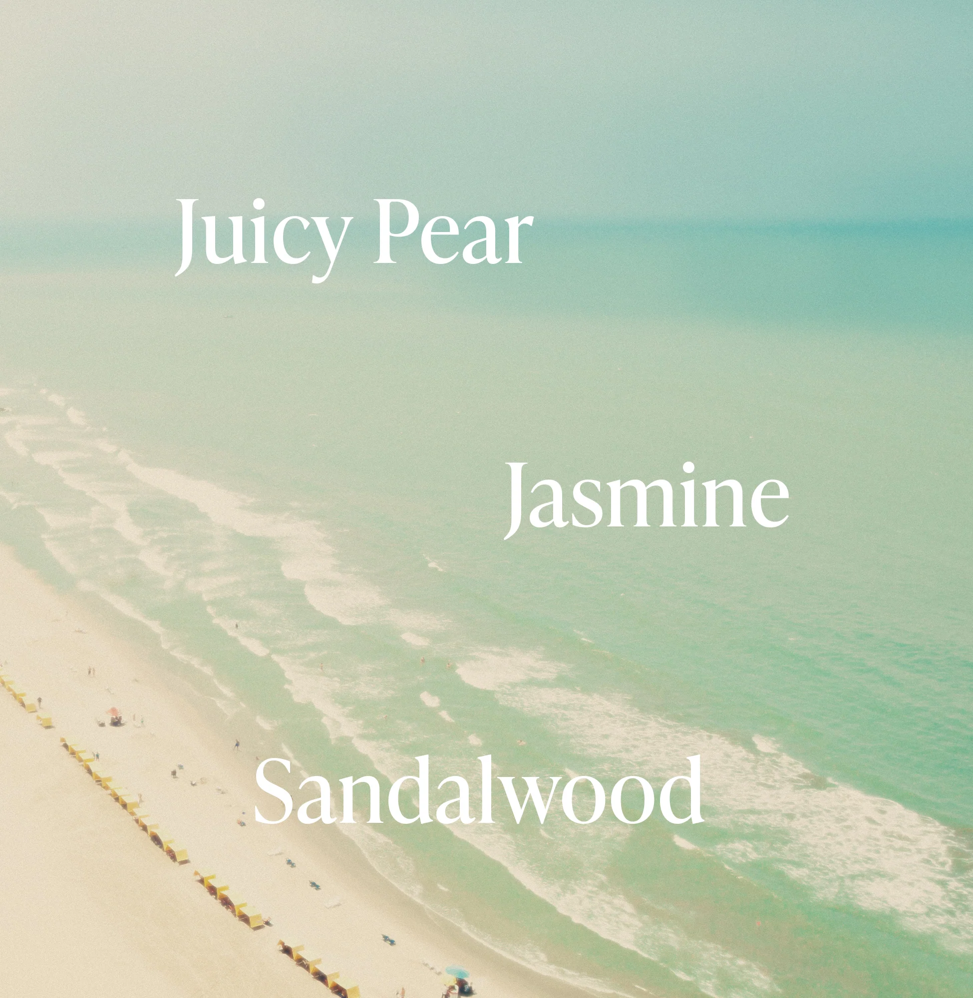 Pacific Pear - Travel Size Body Lotion - Image 3