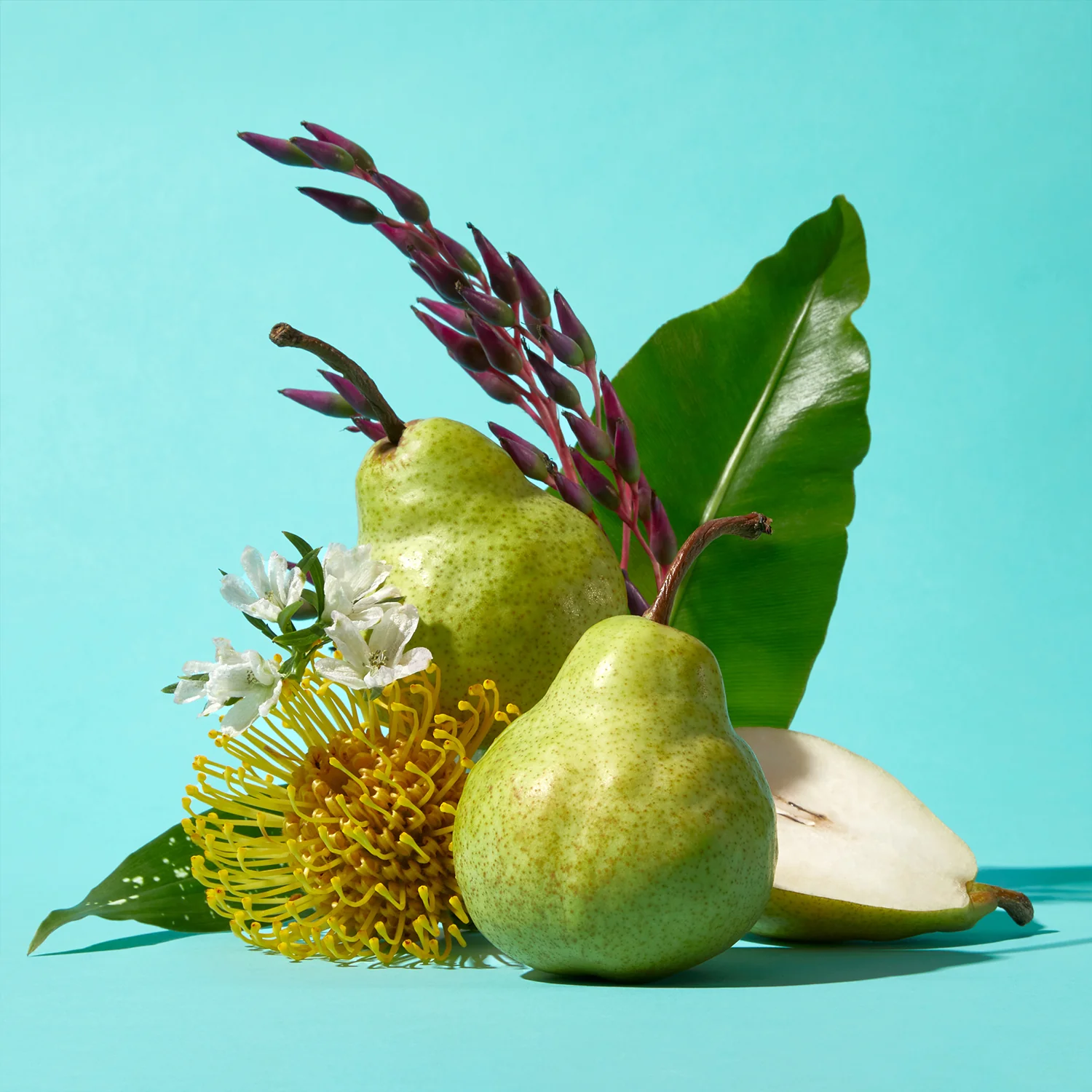 Pacific Pear - Travel Size Body Lotion - Image 5
