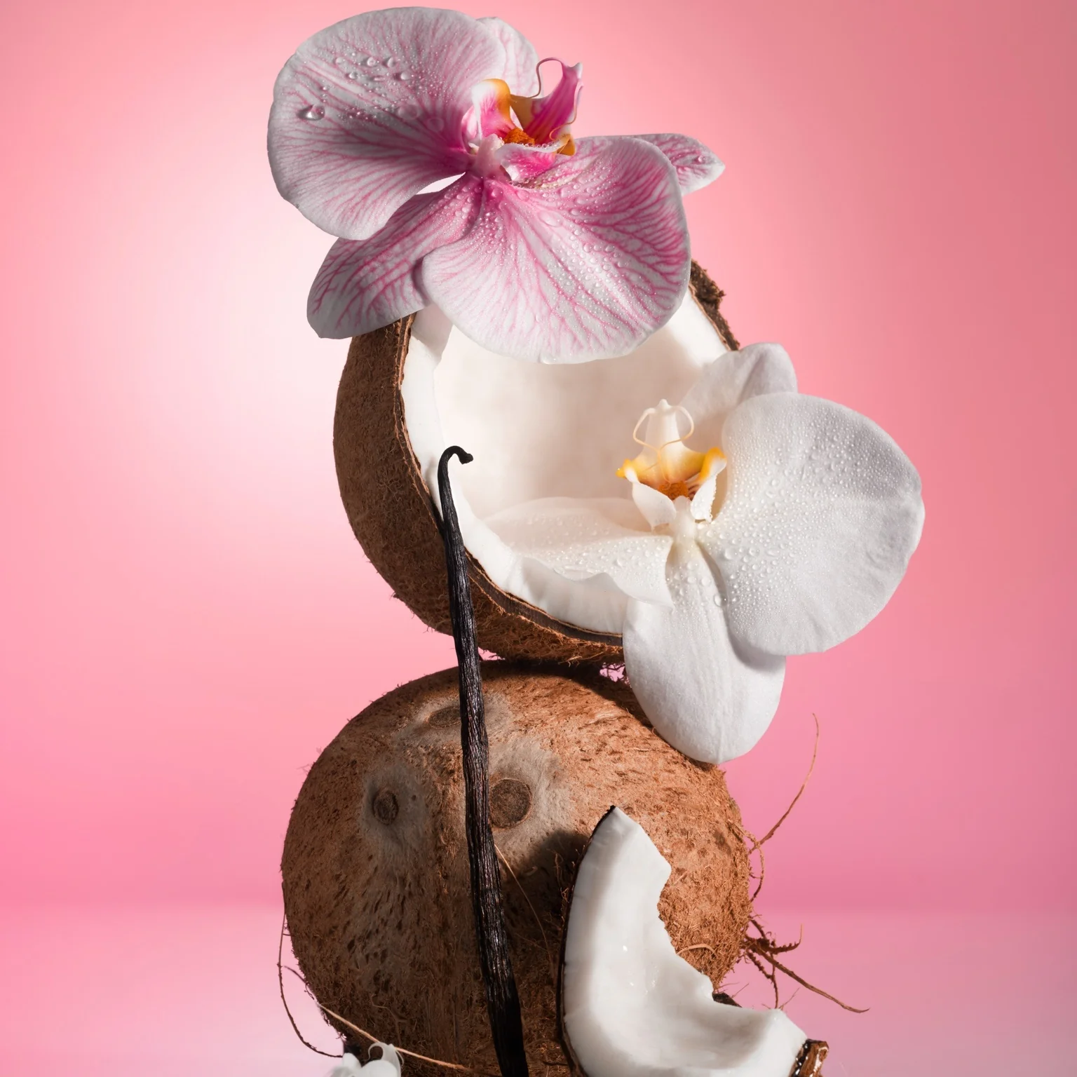 Pink Beach - Vault Set - Image 3