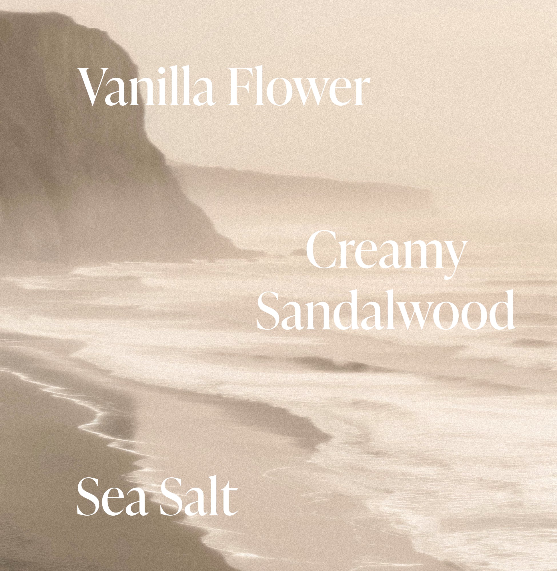 Salt Water Vanilla - Essentials Set - Image 2