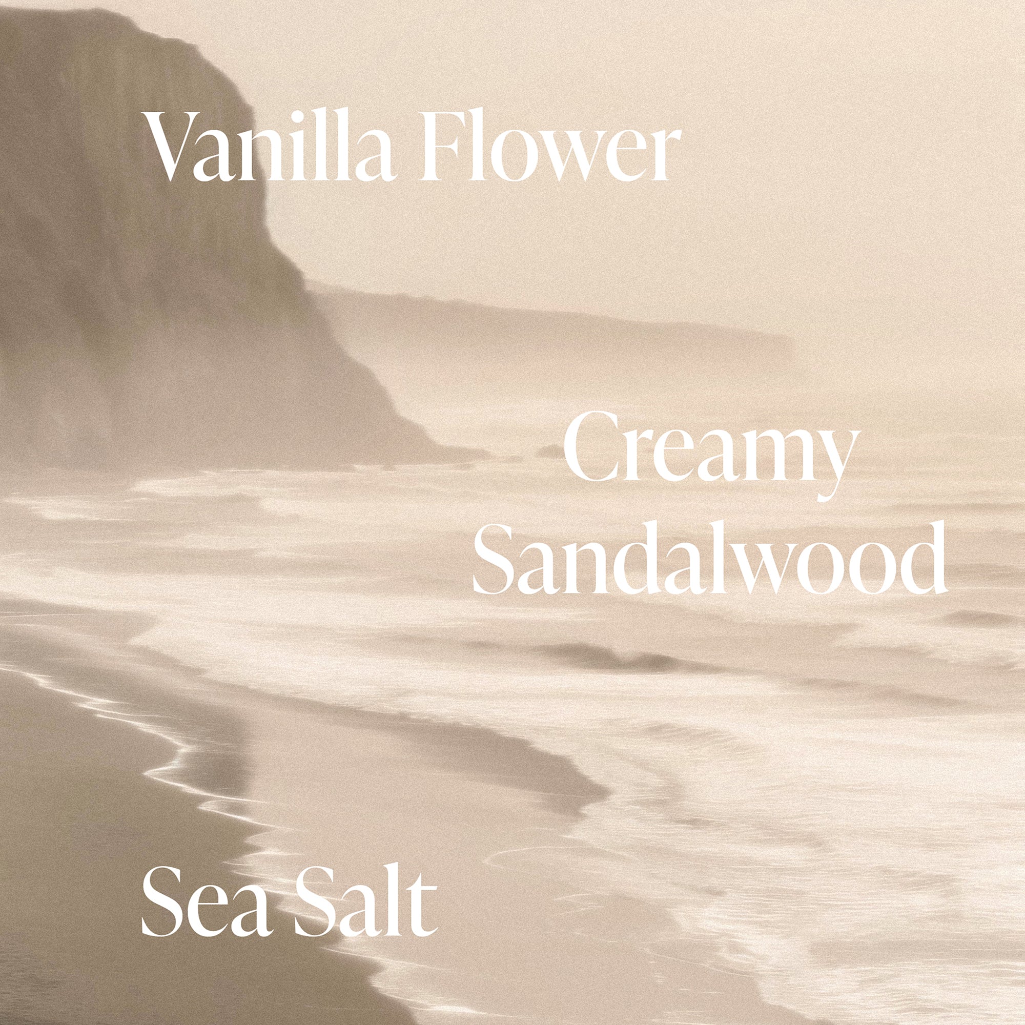 Salt Water Vanilla - Jumbo Body Oil - Image 4