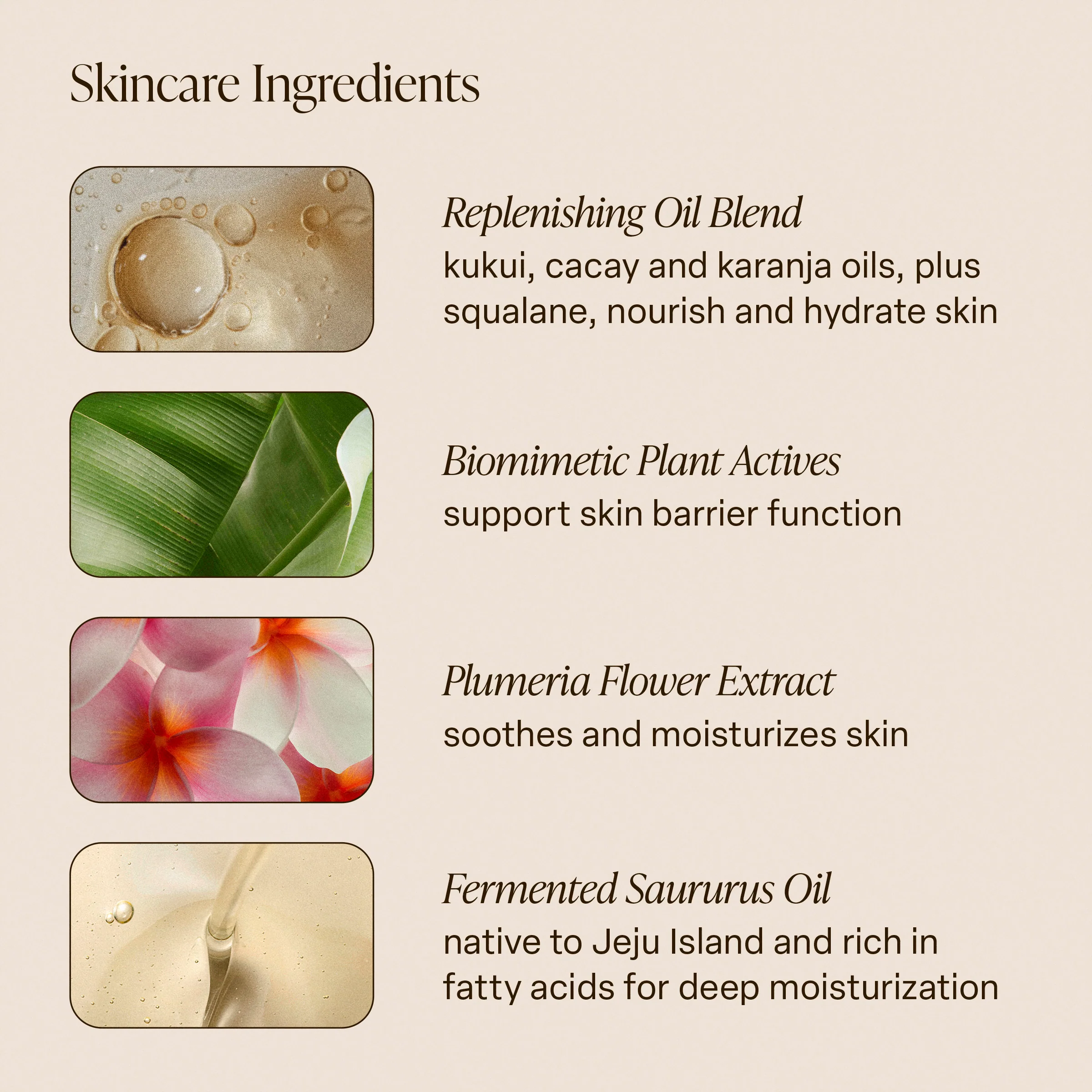 Salt Water Vanilla - Shimmering Body Oil - Image 3