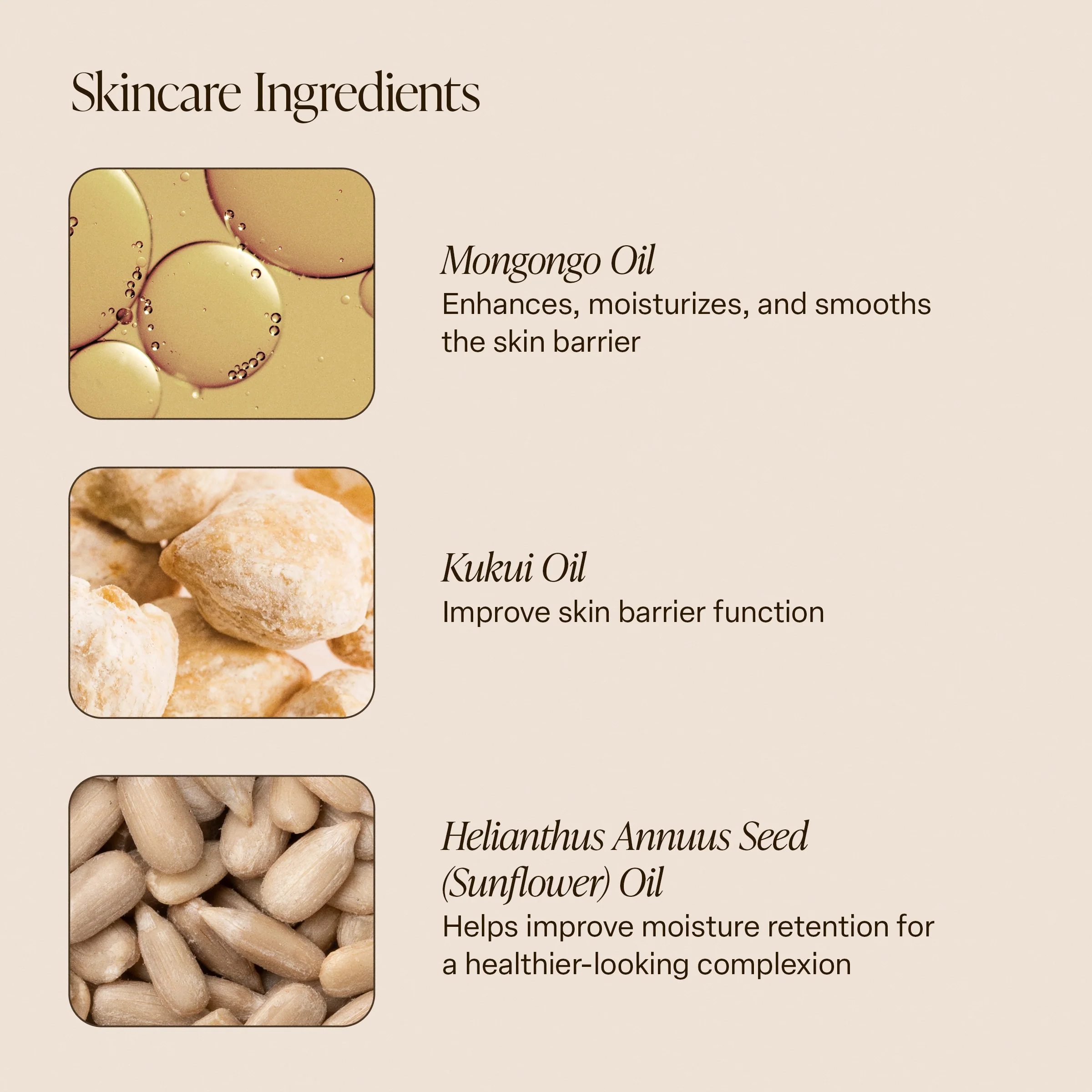Salt Water Vanilla - Sunscreen Body Oil - Image 6